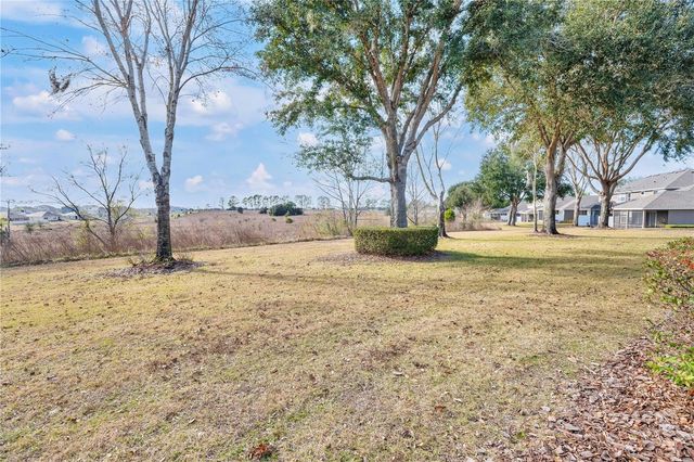 24008 SARDINIA DRIVE, Sorrento, FL 32776