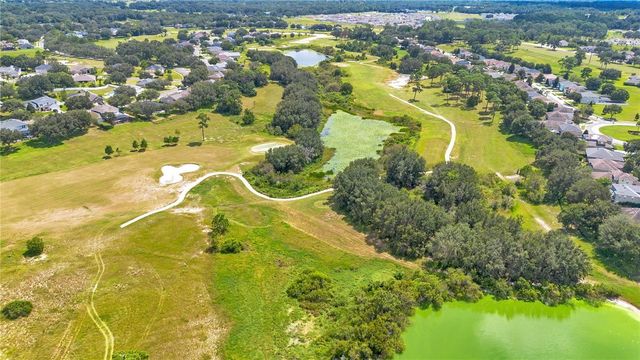 24008 SARDINIA DRIVE, Sorrento, FL 32776