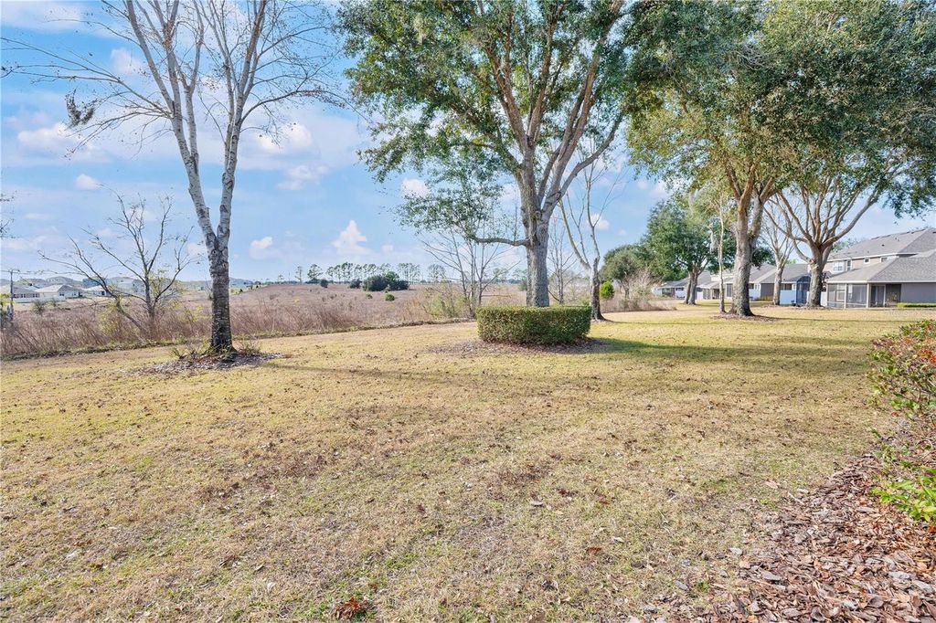 Image 29 of property listing at 24008 SARDINIA DRIVE, Sorrento, FL 32776