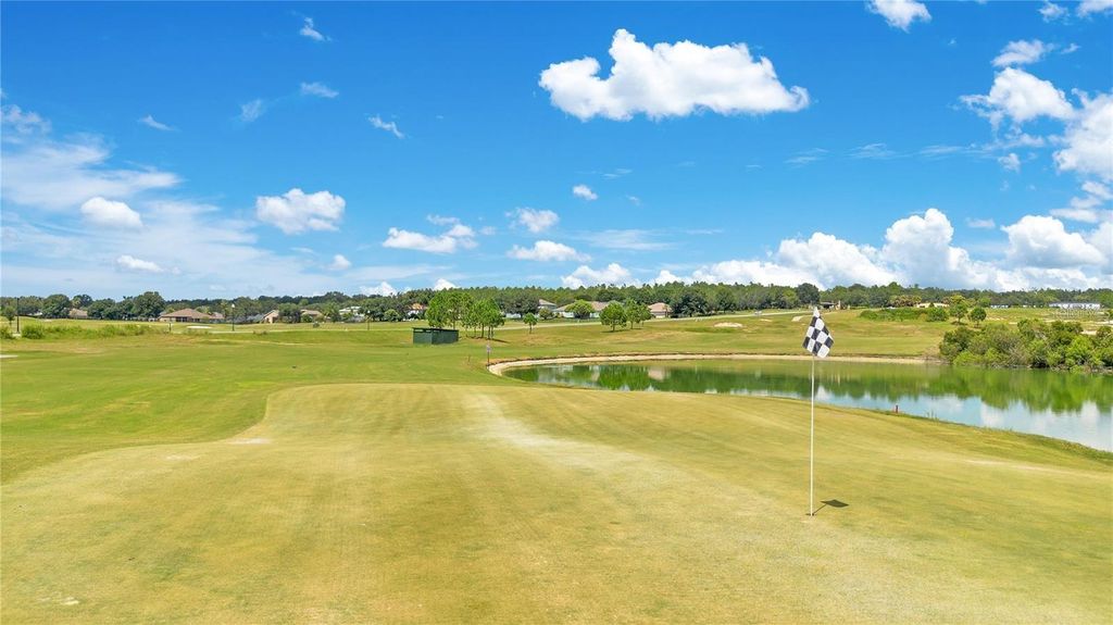 Image 34 of property listing at 24008 SARDINIA DRIVE, Sorrento, FL 32776