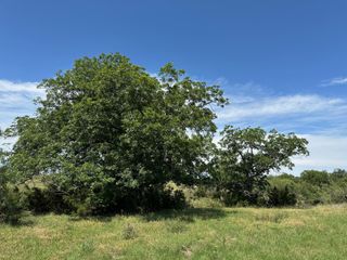 45 acres County Road 330, Bertram, TX 78605