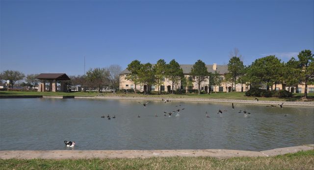 20306 Hidden Point Lane, Richmond, TX 77407