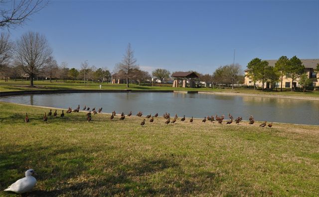 20306 Hidden Point Lane, Richmond, TX 77407