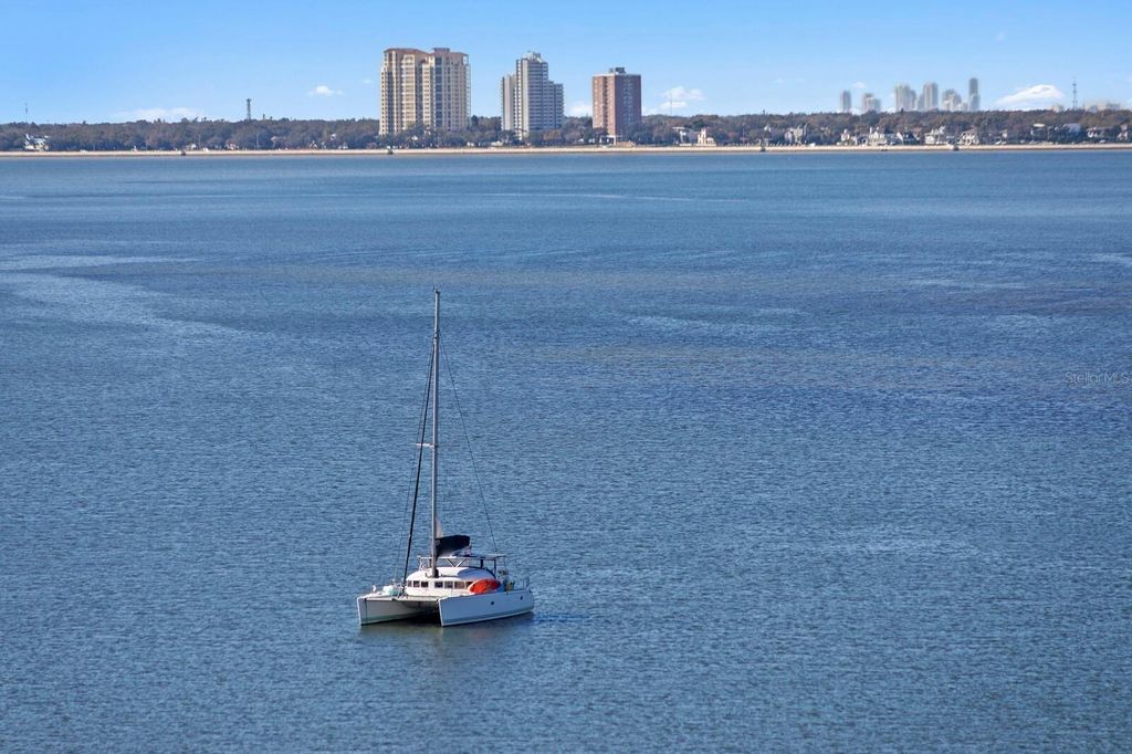 Image 40 of property listing at 2 ADALIA AVENUE 1002, Tampa, FL 33606