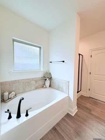 17055 White Ibis Ave, Prairieville, LA 70769