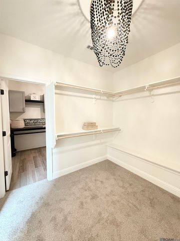 17055 White Ibis Ave, Prairieville, LA 70769