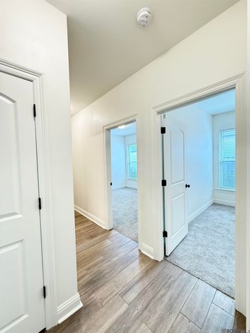 17055 White Ibis Ave, Prairieville, LA 70769