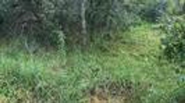 839 E Aquarius Court, Granbury, TX 76049