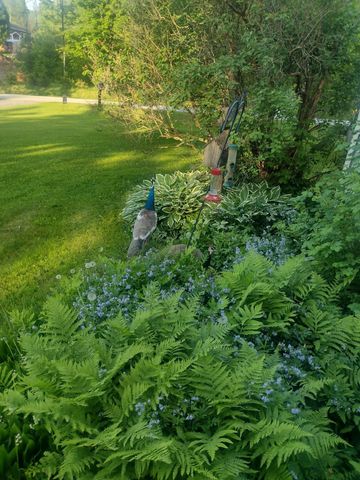 166 Manley Road, Milton, VT 05468