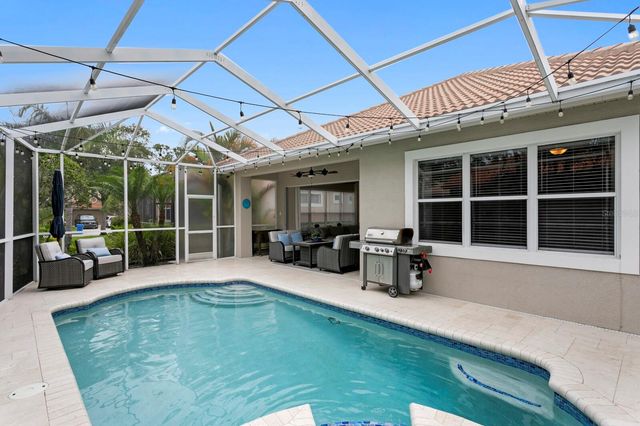 14519 MIRASOL MANOR COURT, Tampa, FL 33626