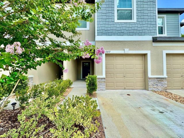 17657 NECTAR FLUME DRIVE, Land O Lakes, FL 34638