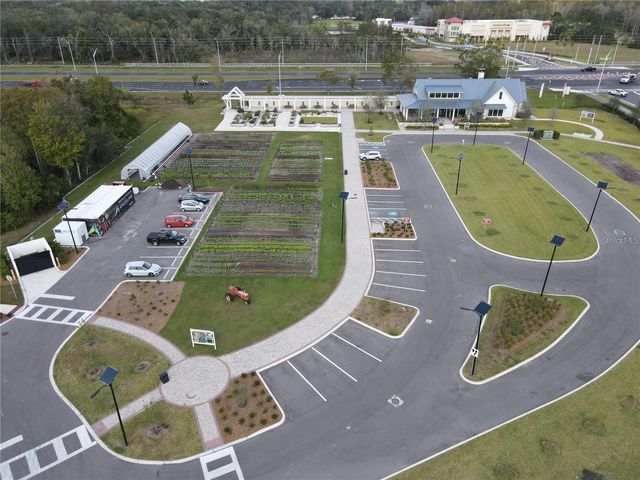 17657 NECTAR FLUME DRIVE, Land O Lakes, FL 34638