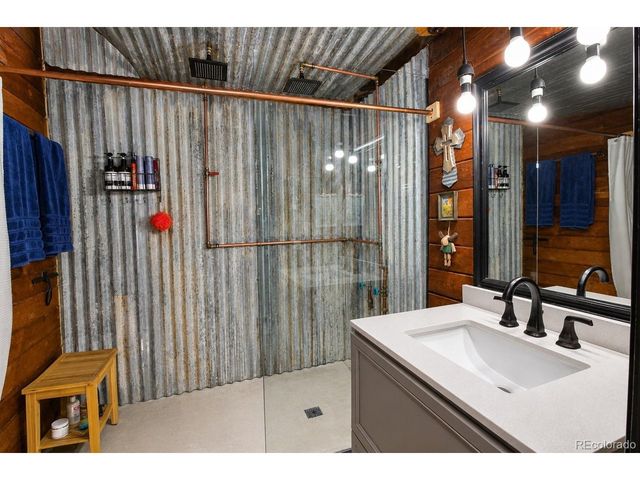 388 Clark Rd, Bailey, CO 80421