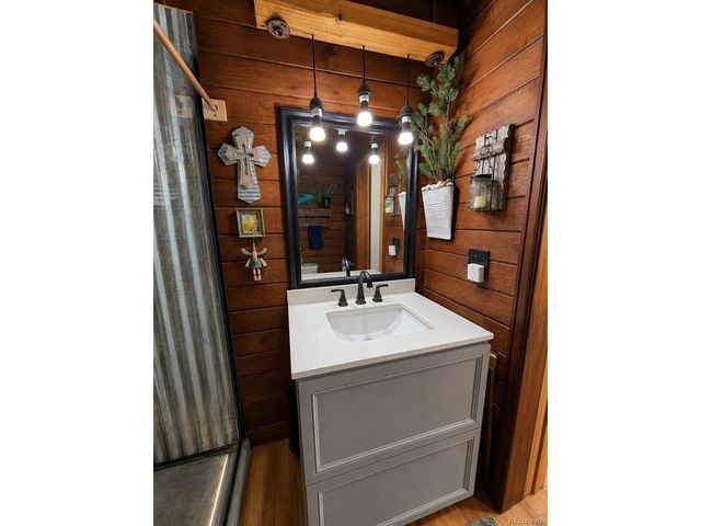 388 Clark Rd, Bailey, CO 80421