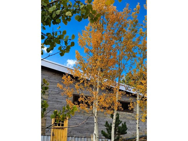 388 Clark Rd, Bailey, CO 80421