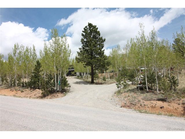 388 Clark Rd, Bailey, CO 80421