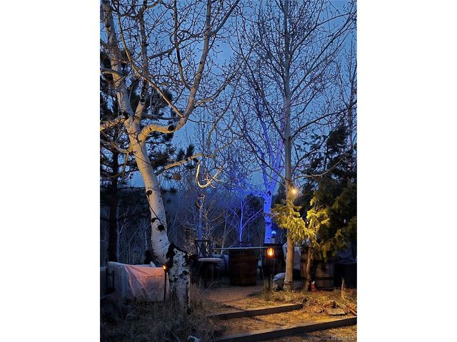 388 Clark Rd, Bailey, CO 80421