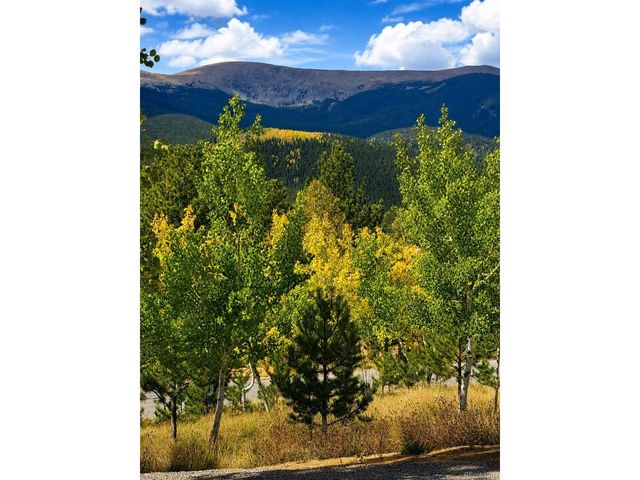 388 Clark Rd, Bailey, CO 80421