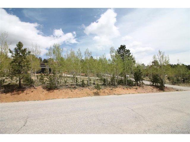 388 Clark Rd, Bailey, CO 80421