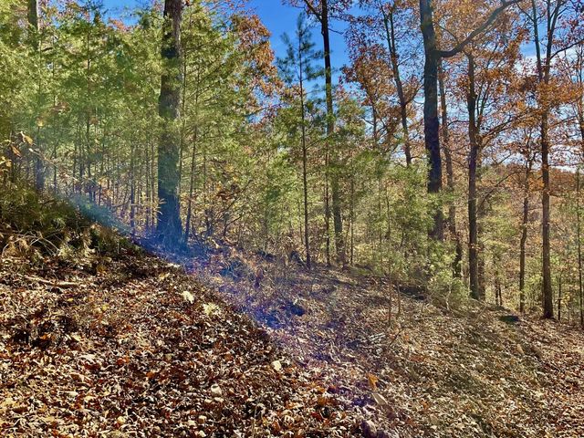 0 Forrest Crossing, Waverly, TN 37185