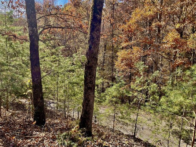 0 Forrest Crossing, Waverly, TN 37185