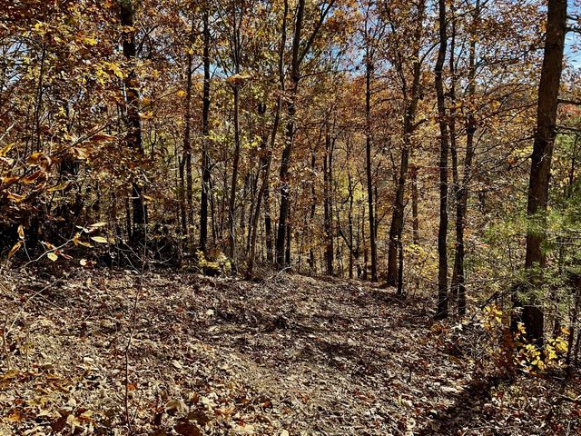 0 Forrest Crossing, Waverly, TN 37185