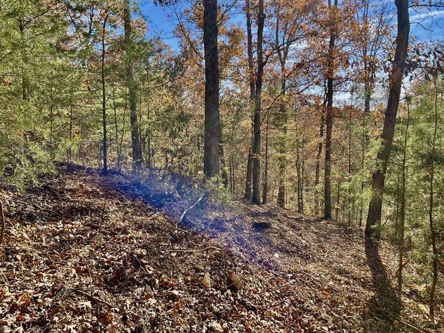 0 Forrest Crossing, Waverly, TN 37185