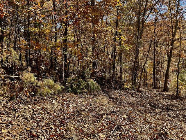 0 Forrest Crossing, Waverly, TN 37185