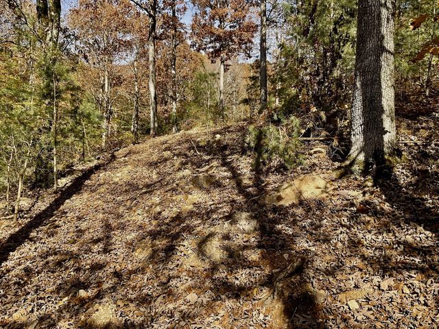 0 Forrest Crossing, Waverly, TN 37185