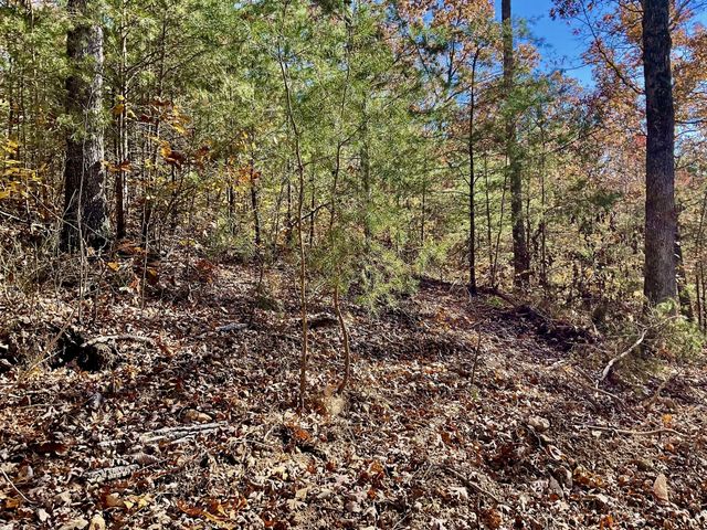 0 Forrest Crossing, Waverly, TN 37185