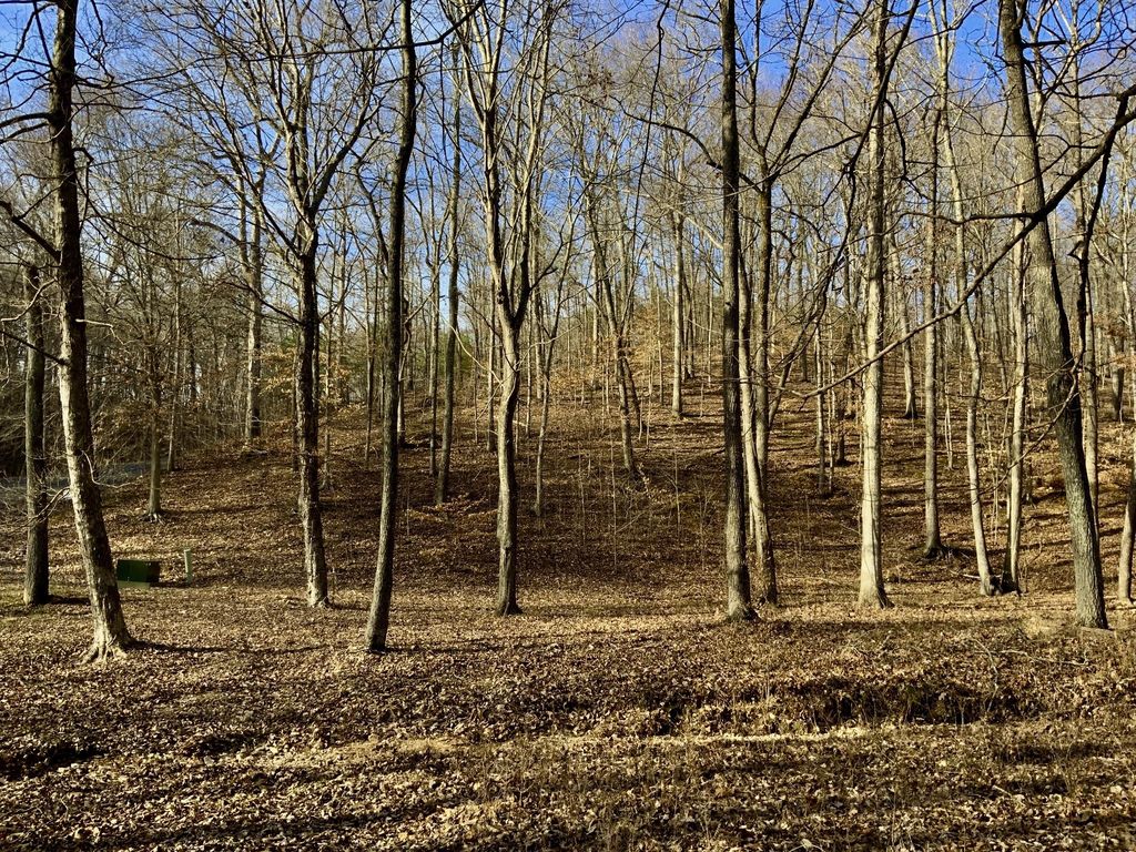 0 Forrest Crossing, Waverly, TN 37185