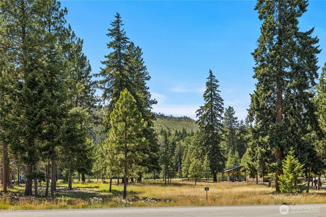 18 Domerie Park Loop, Cle Elum, WA 98922