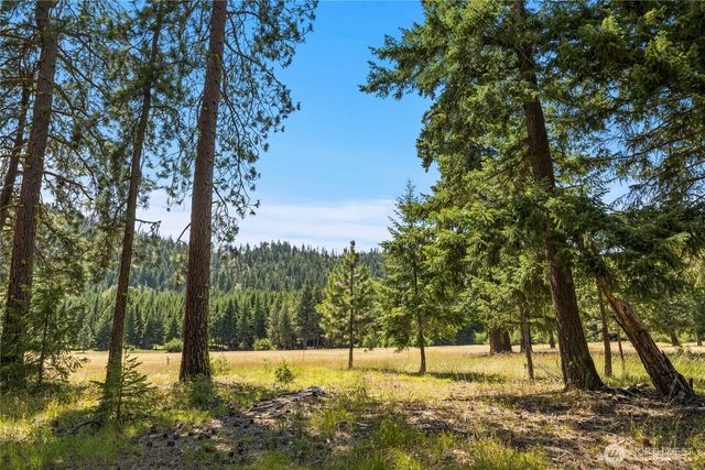 18 Domerie Park Loop, Cle Elum, WA 98922