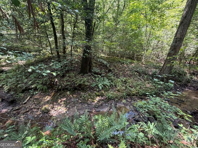 0 Alpine Drive, Sautee Nacoochee, GA 30571