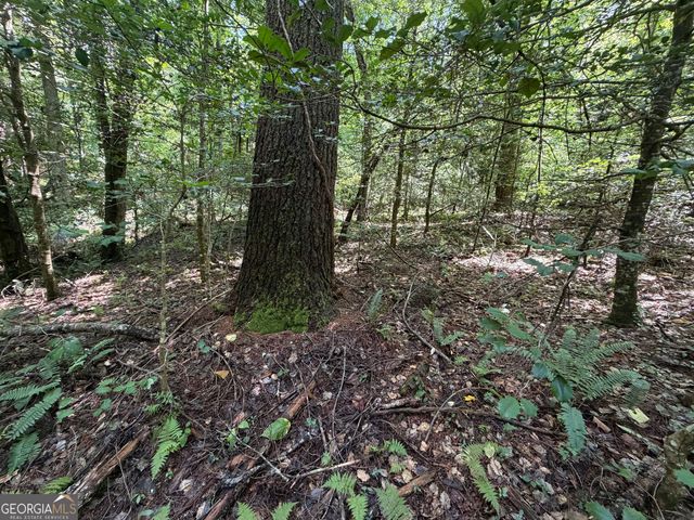 0 Alpine Drive, Sautee Nacoochee, GA 30571