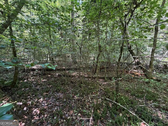 0 Alpine Drive, Sautee Nacoochee, GA 30571