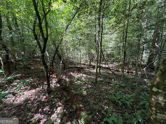 0 Alpine Drive, Sautee Nacoochee, GA 30571