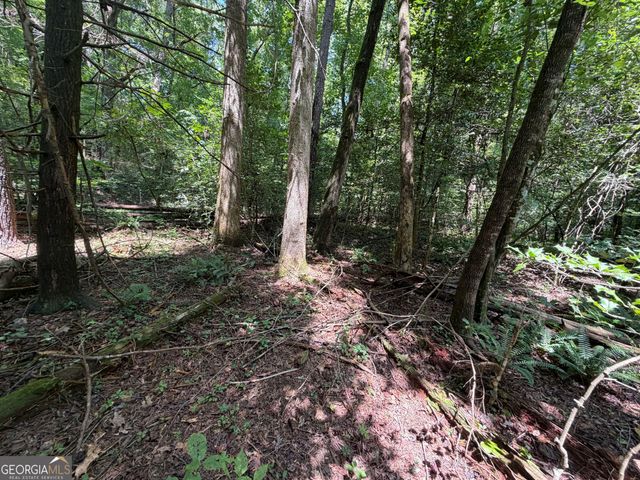 0 Alpine Drive, Sautee Nacoochee, GA 30571