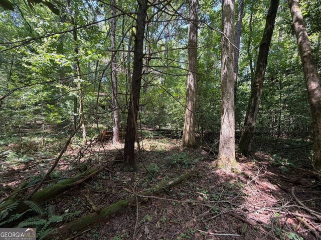 0 Alpine Drive, Sautee Nacoochee, GA 30571