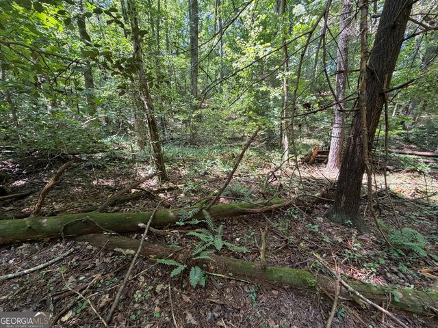 0 Alpine Drive, Sautee Nacoochee, GA 30571