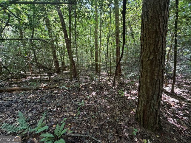 0 Alpine Drive, Sautee Nacoochee, GA 30571