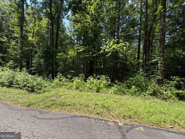 0 Alpine Drive, Sautee Nacoochee, GA 30571