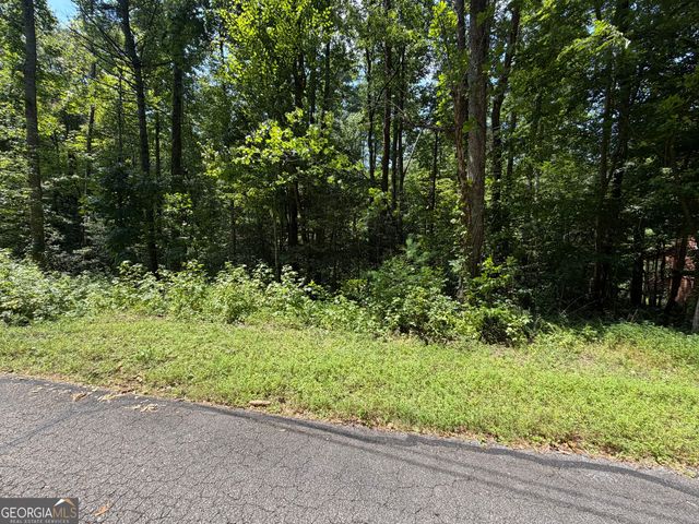 0 Alpine Drive, Sautee Nacoochee, GA 30571