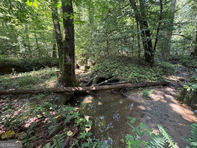 0 Alpine Drive, Sautee Nacoochee, GA 30571