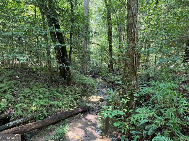 0 Alpine Drive, Sautee Nacoochee, GA 30571
