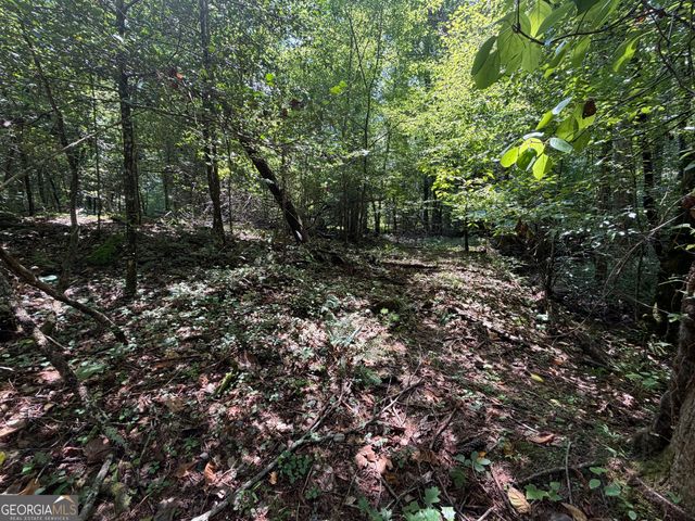 0 Alpine Drive, Sautee Nacoochee, GA 30571