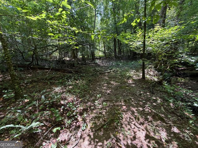 0 Alpine Drive, Sautee Nacoochee, GA 30571
