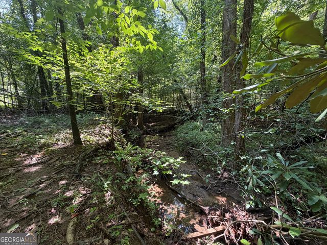 0 Alpine Drive, Sautee Nacoochee, GA 30571
