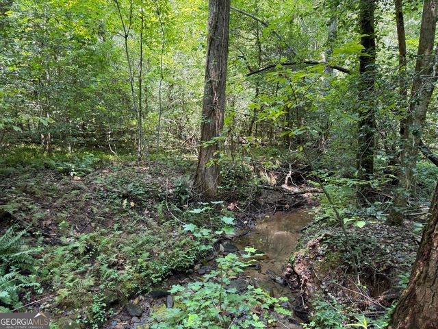0 Alpine Drive, Sautee Nacoochee, GA 30571