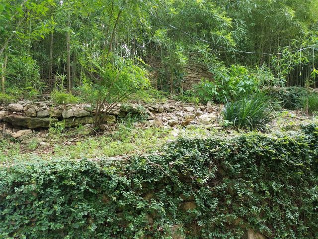 2205 N Lamar BLVD 311, Austin, TX 78705